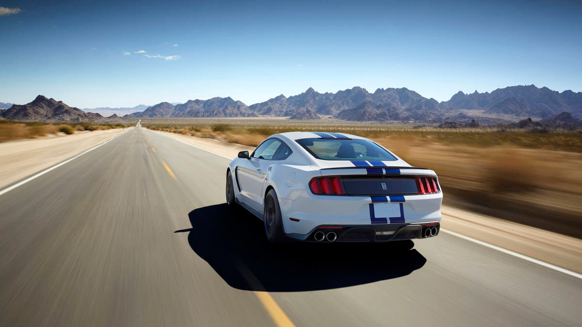 Ford Mustang GT 350 Shelby Style Complete Body Kit Upgrade for all 2014 2015 2016 2017