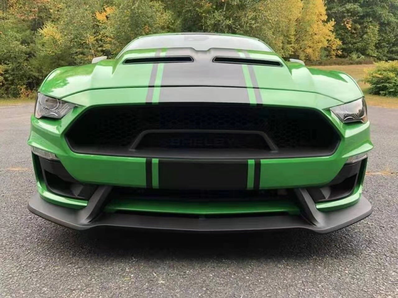 Mustang GT500 Supersnake Style Hood for 2018 2019 2020