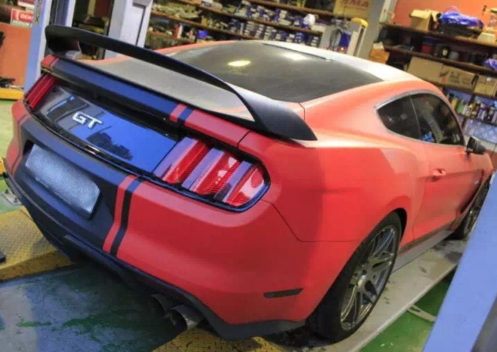 Rear side view