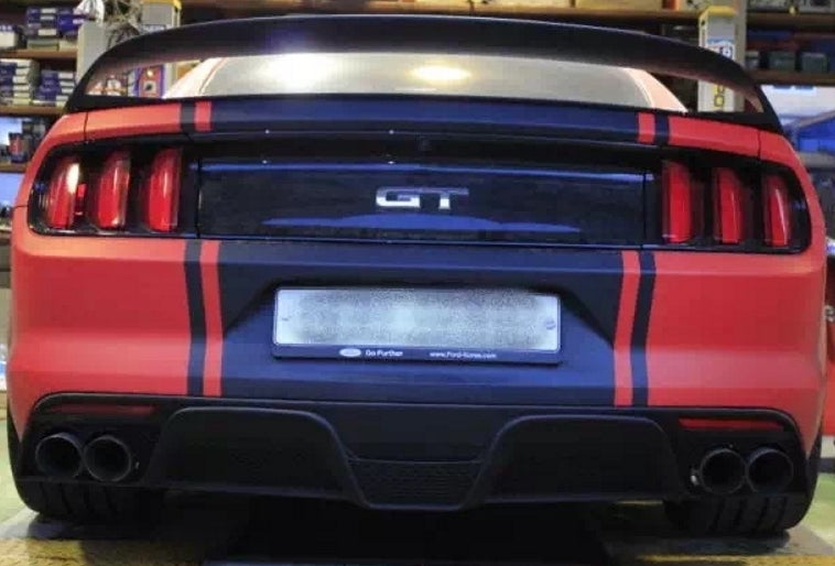 Rear View