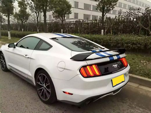 Rear view white Mustang with spoiler