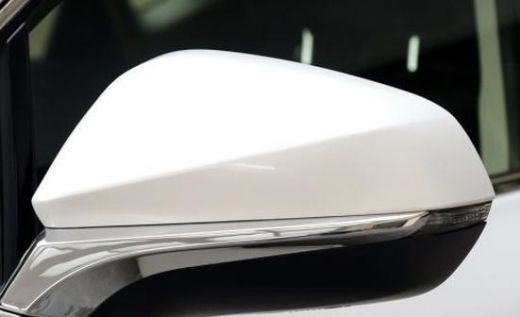Lexus NX (2014+) RX Carbon Mirror Cover Replacement 2016-2017